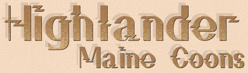 Maine Coon Cats and Kittens from Highlander in Ohio